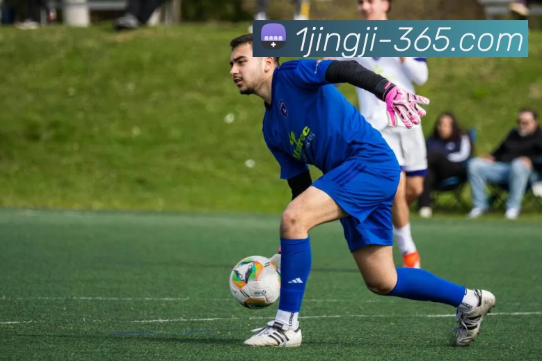 App Interface Preview